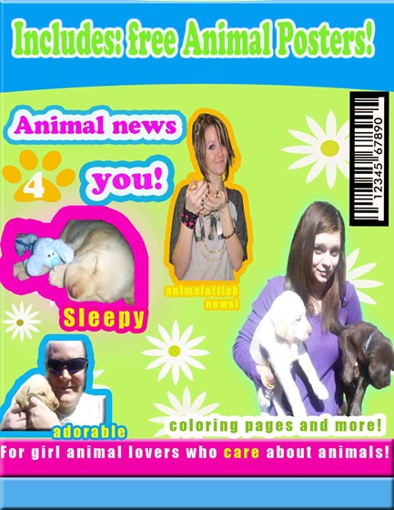 photoshop: copycat magazine